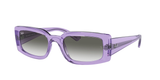 Transparent Violet (66858E) / 54