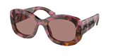 Tortoise Cognac Begonia (18N10D) / 55