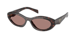 Root Tortoise (17N60B) / 55