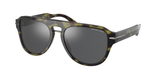 Olive Tortoise (37056G) / 56
