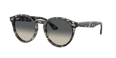 Grey Havana (133371)