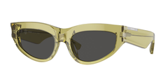 411887 (Green)