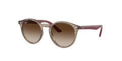 712313 (Brown)