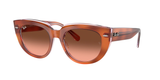 Red Havana On Transparent Multicolor (1415A5) / 52