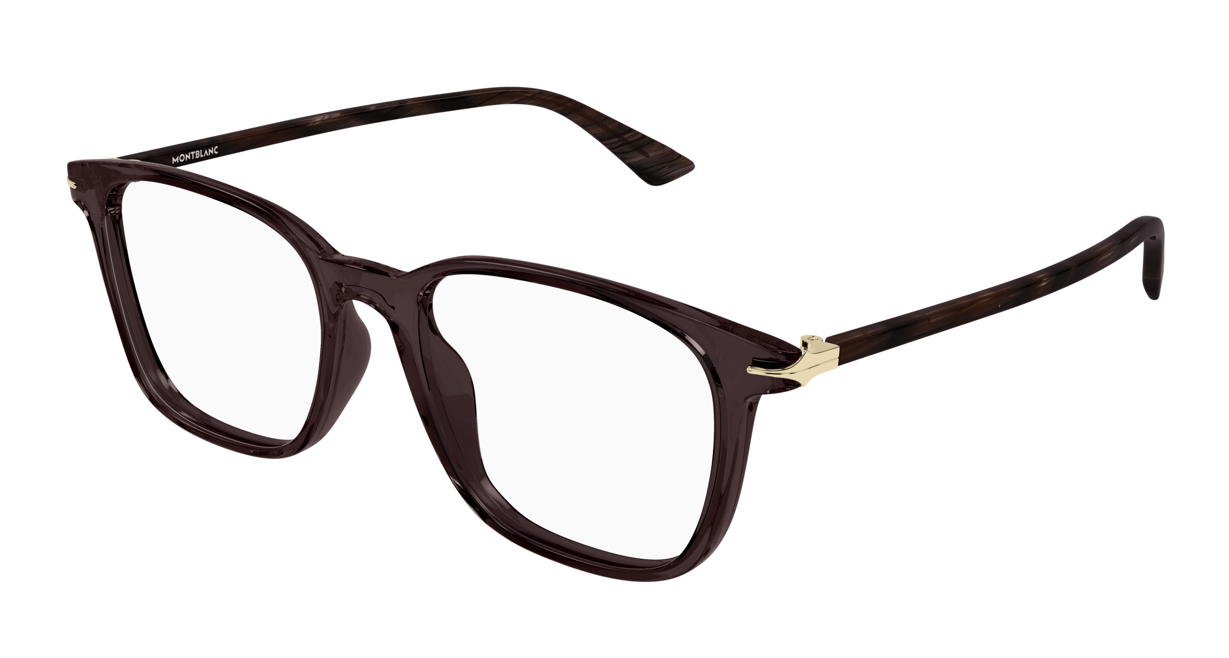 Brown (003)