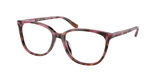 Plum Graphic Tortoise (3998) / 53