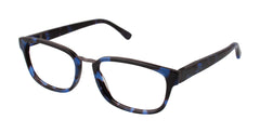 Blue Tortoise (764724346485)