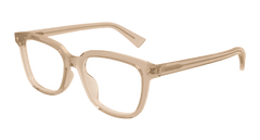 Brown (007)