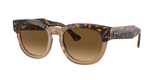Havana On Transparent Brown (1292M2) / 53