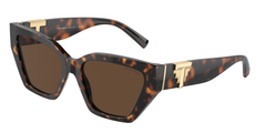 Havana (80153G)