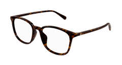 Havana (001)