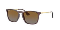 6593T5 (Brown)