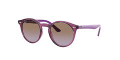 706468 (Fuxia)