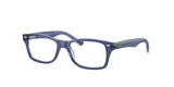 Top Violet On Transparent Violet (3961) / 48