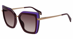 Violet Hrn Stripd Bord (SPLP43M5409F5)