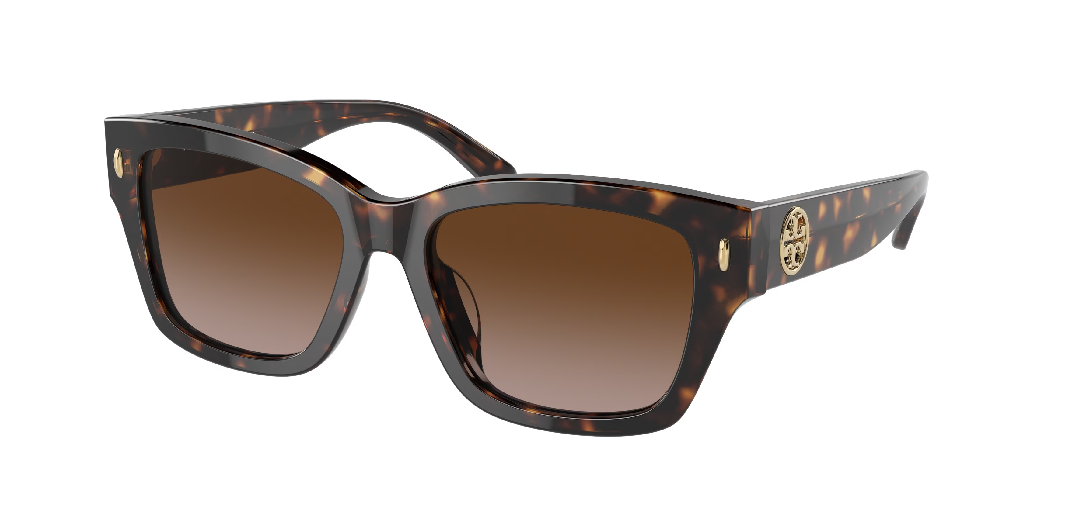 Dark Tortoise (172813) / 53