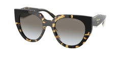 Medium Tortoise/Black (01M0A7)
