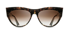 Tortoise (35842)
