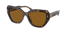 Dark Tortoise (172883)