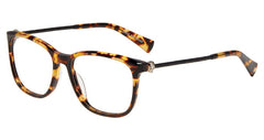 Tortoise (V419   540TOR)