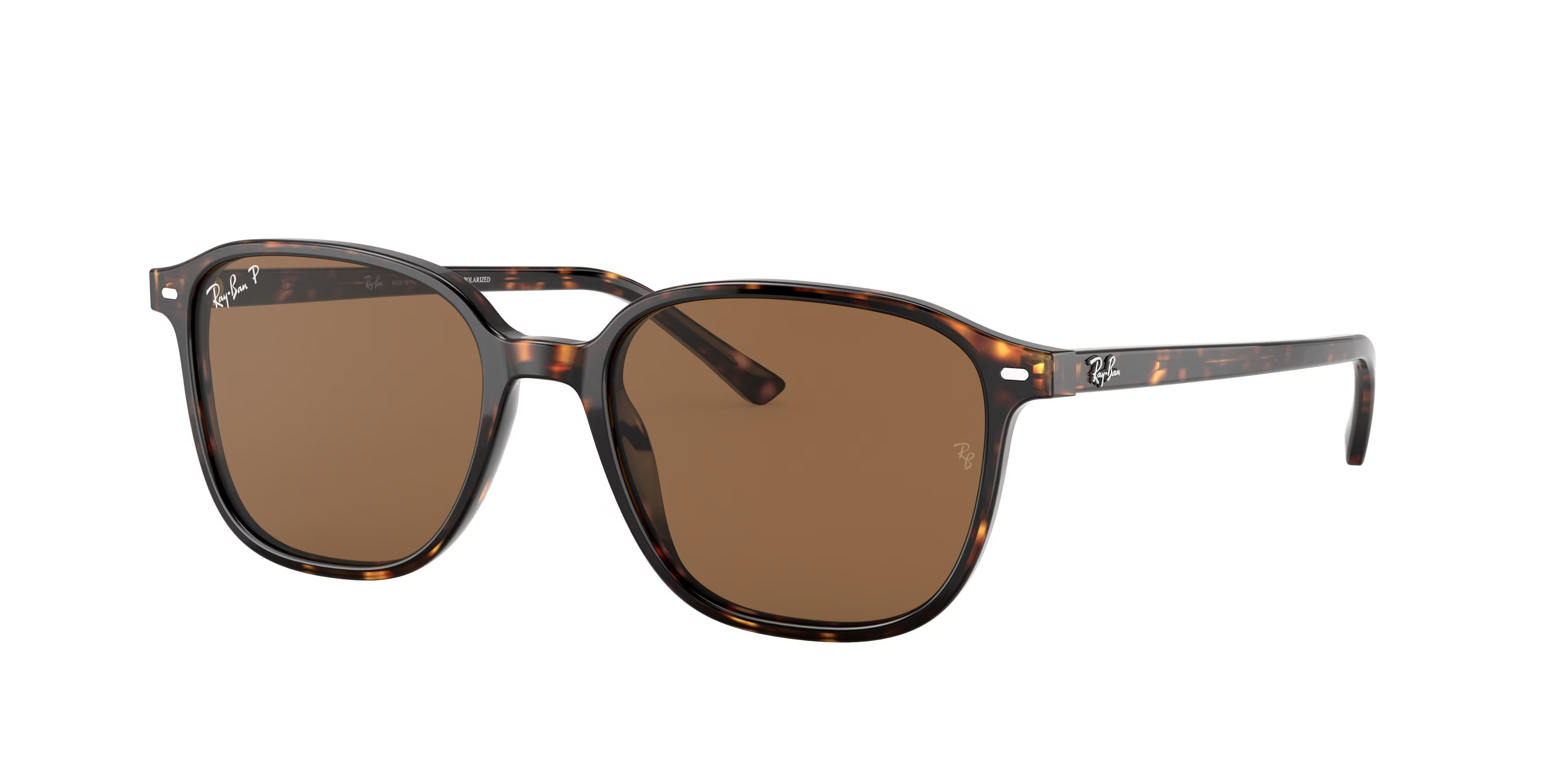 Tortoise (902/57) / 51
