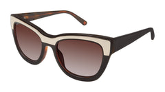 Black Tortoise (764724373221)