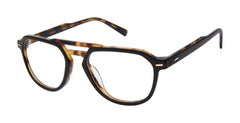 Black Tortoise (764724858933)