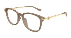 Brown (002)