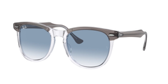 Grey On Transparent (13553F)