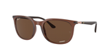 Transparent Brown (6652AN) / 55