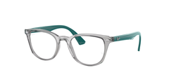 Transparent Grey (3842)