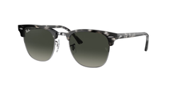 Grey Havana (133671)