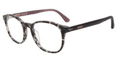 Tortoise (VPLD04 51096N)
