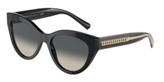 Black (800171)
