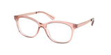 Transparent Mulberry (3689) / 53