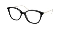 Black (1AB1O1)