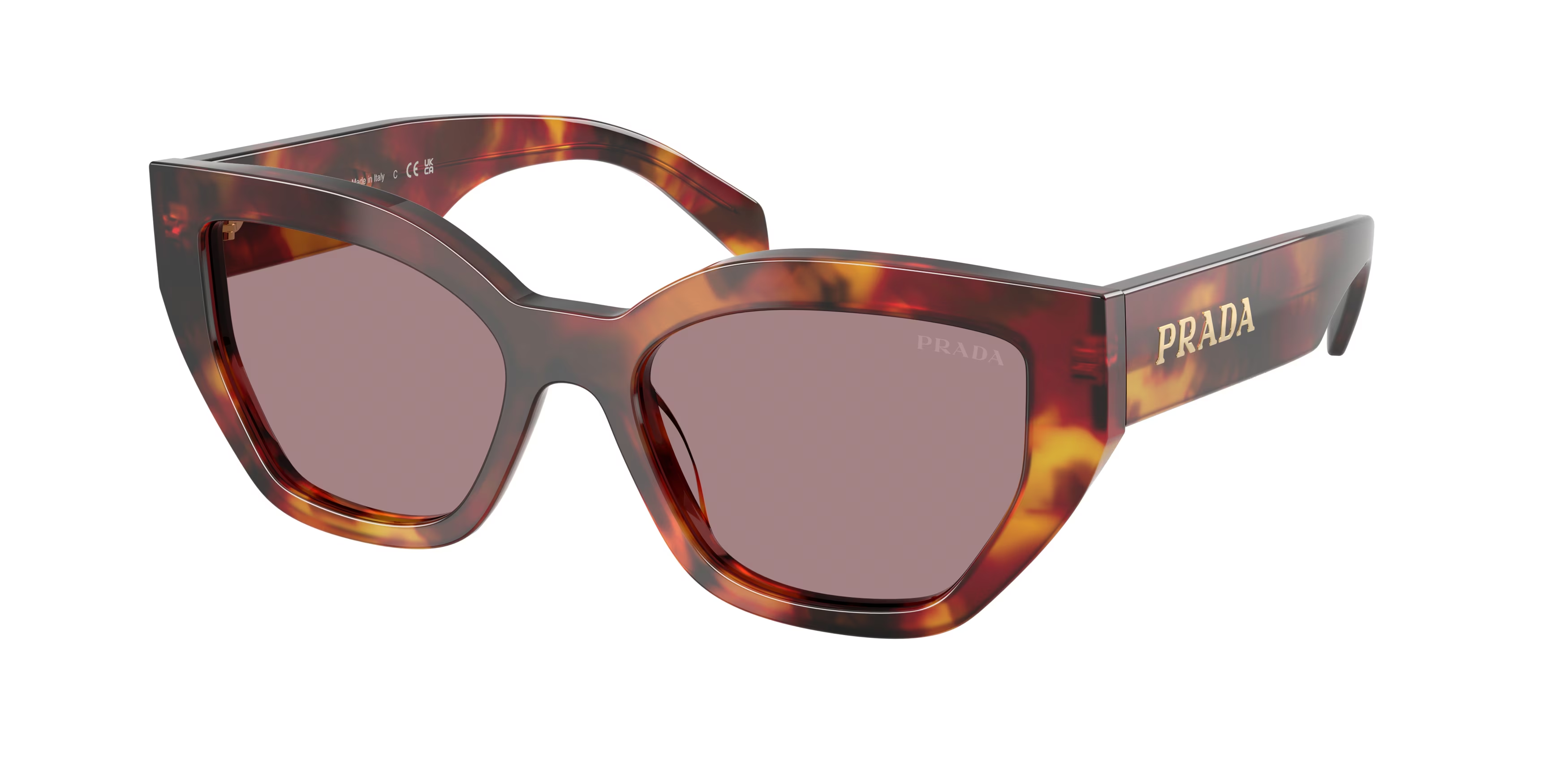 Poppy Tortoise (22A20I) / 53