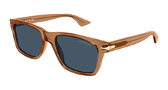 Brown (005)