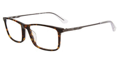 Tortoise (VPLD08 520752)