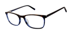 Tortoise Navy (764724863746)
