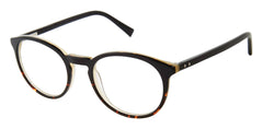 Black Tortoise (764724401092)