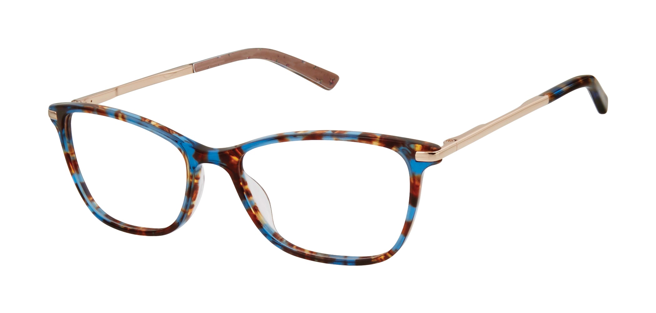 Blue Tortoise (764724770884) / 51