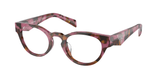 Cognac Begonia Tortoise (18N1O1) / 49