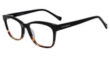 Black Tort (D218   530BLT) / 53