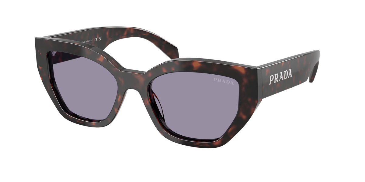 Root Tortoise (17N03N) / 53