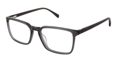 Sf (S303)