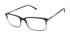 Tortoise Blue Fade (764724848958)