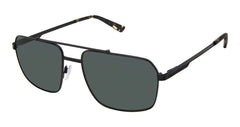 Sfs (M100)