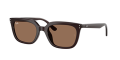 623173 (Brown)