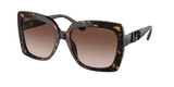 Dark Tortoise (300613) / 57